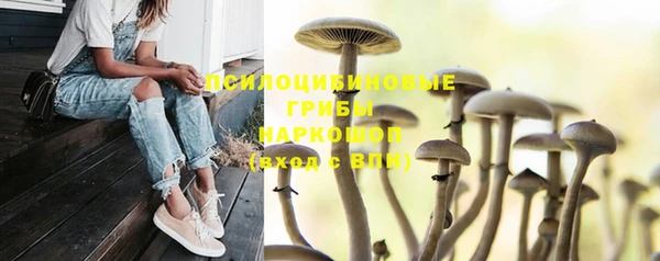 гашиш Покачи