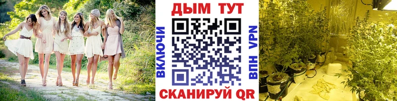 Шишки марихуана конопля  Усть-Катав 